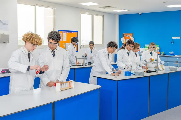 IB Curriculum vs British Curriculum in High School: What's the Difference?