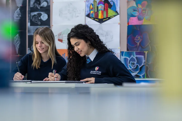Excellent international curriculum